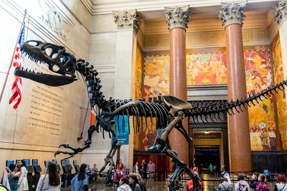 Museum of Natural History, New York City