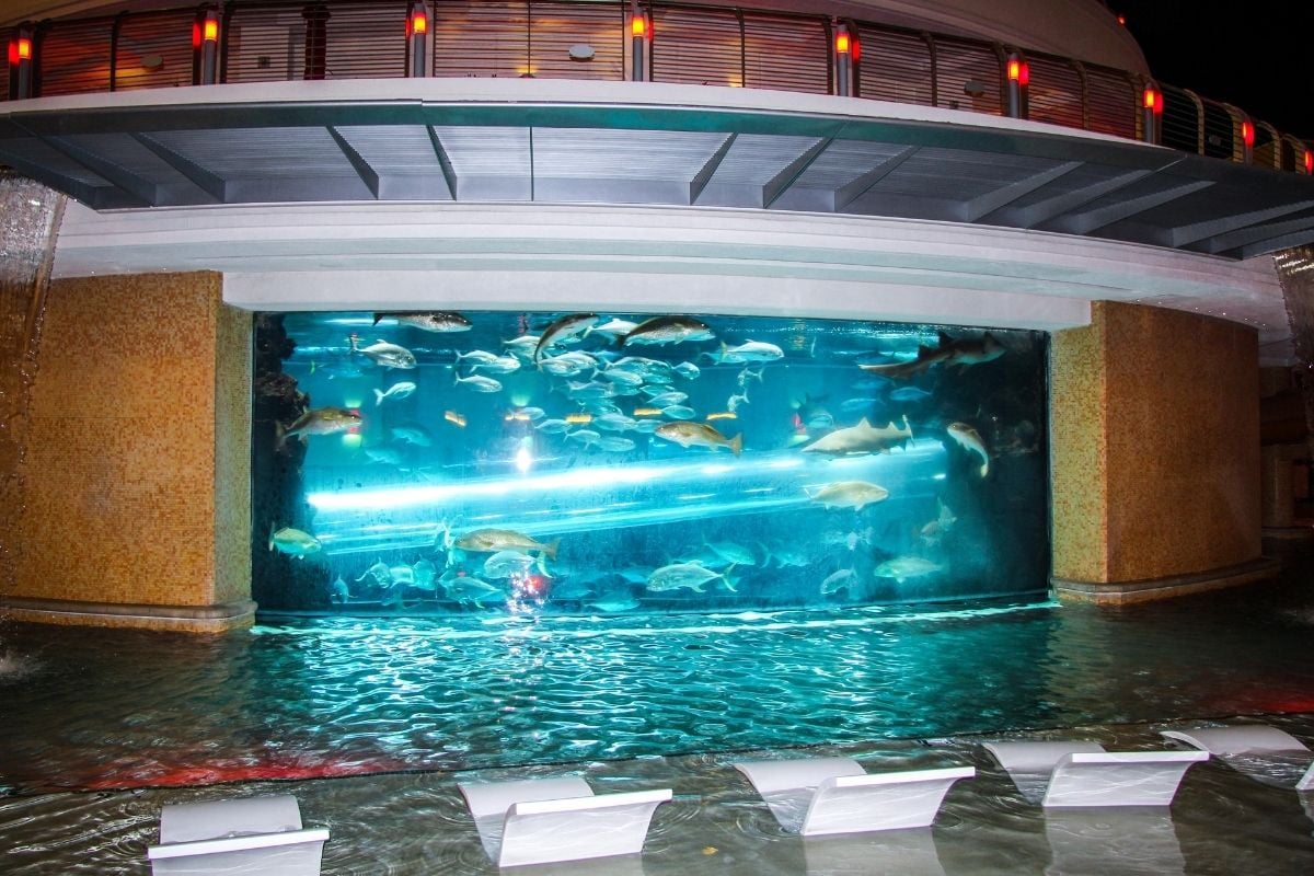 Shark Tank at the Golden Nugget, Las Vegas