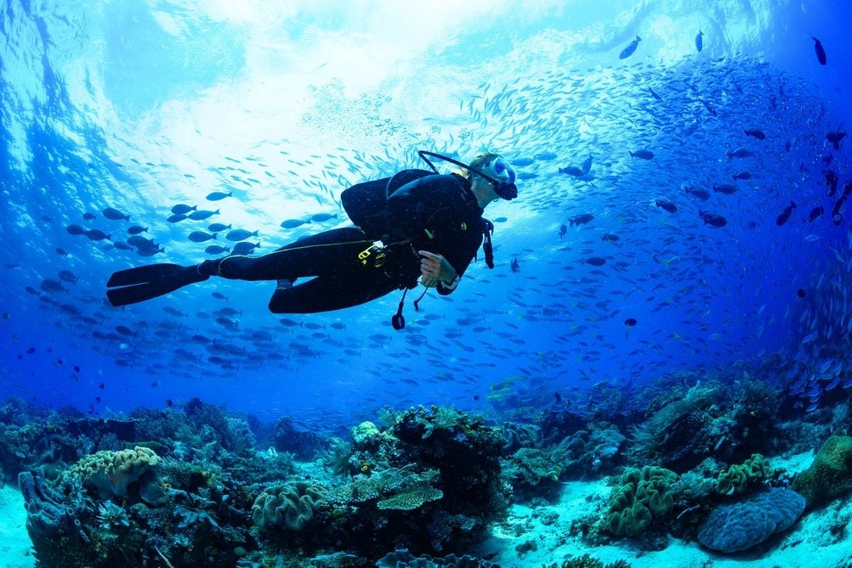 scuba diving in Chania