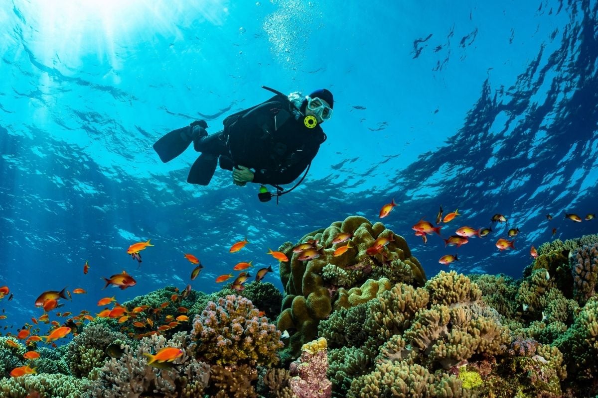 scuba diving in Fuerteventura