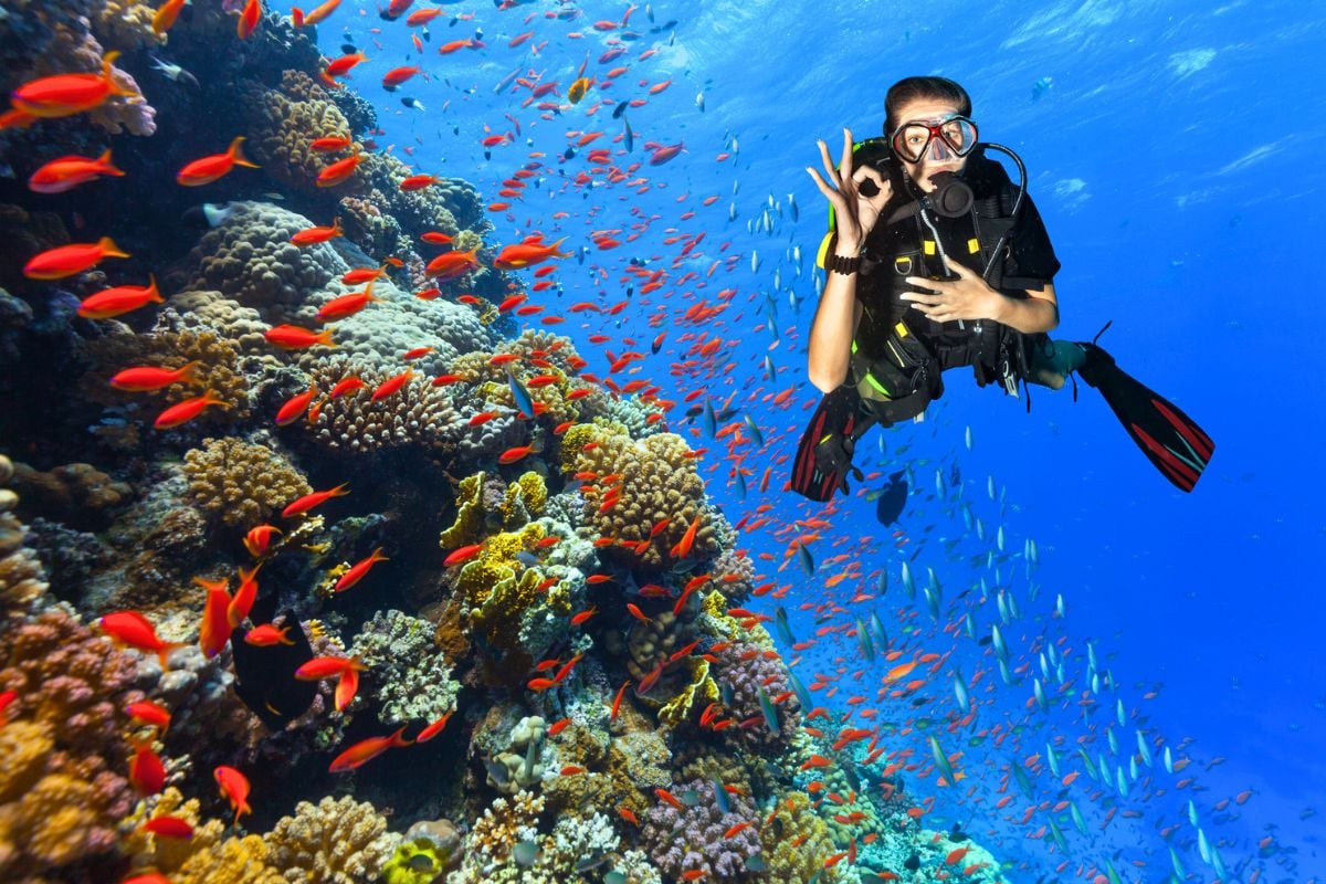 scuba diving tour in Bodrum