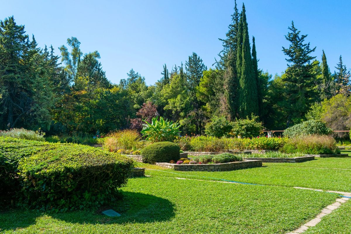 Diomidous Botanical Garden in Athens
