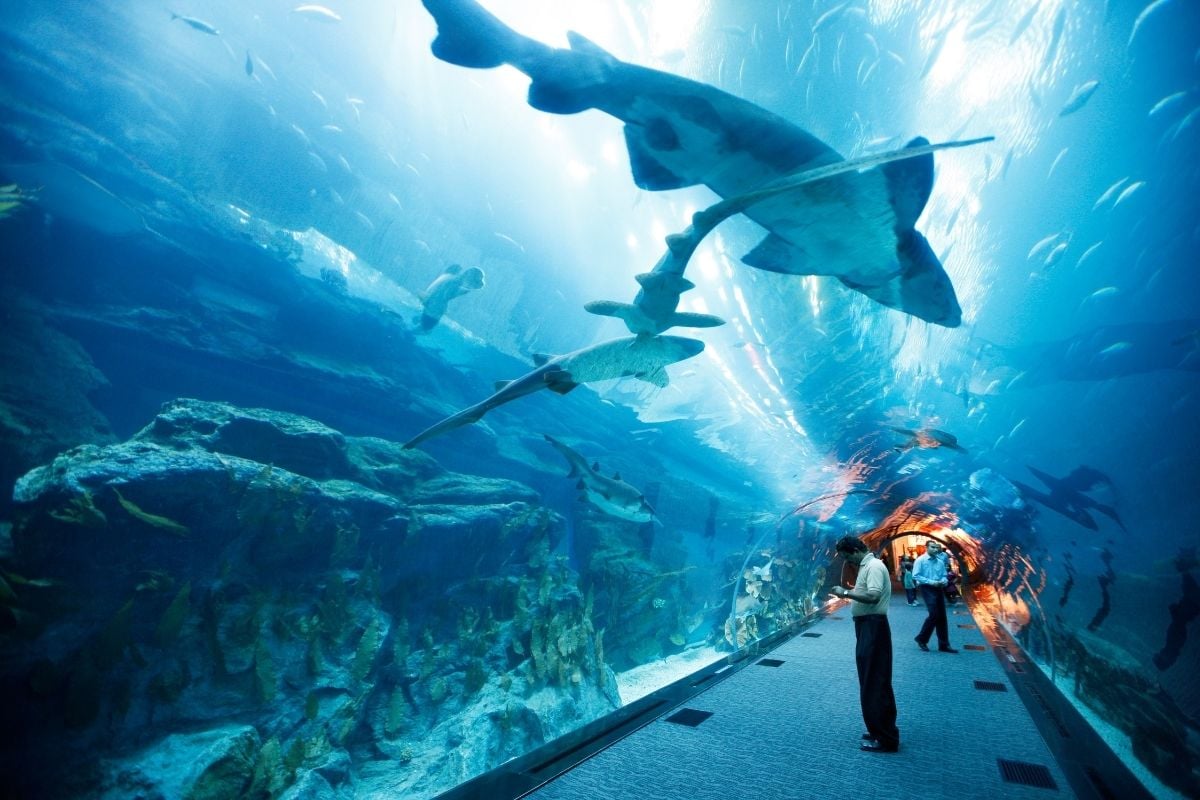 Dubai Aquarium, United Arab Emirates