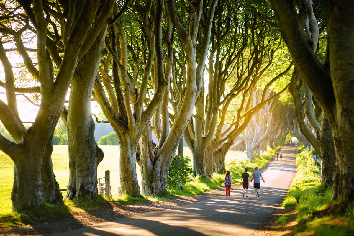 best Game of Thrones tours from Dublin