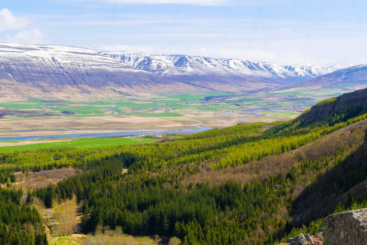 Kjarnaskógur, Akureyri