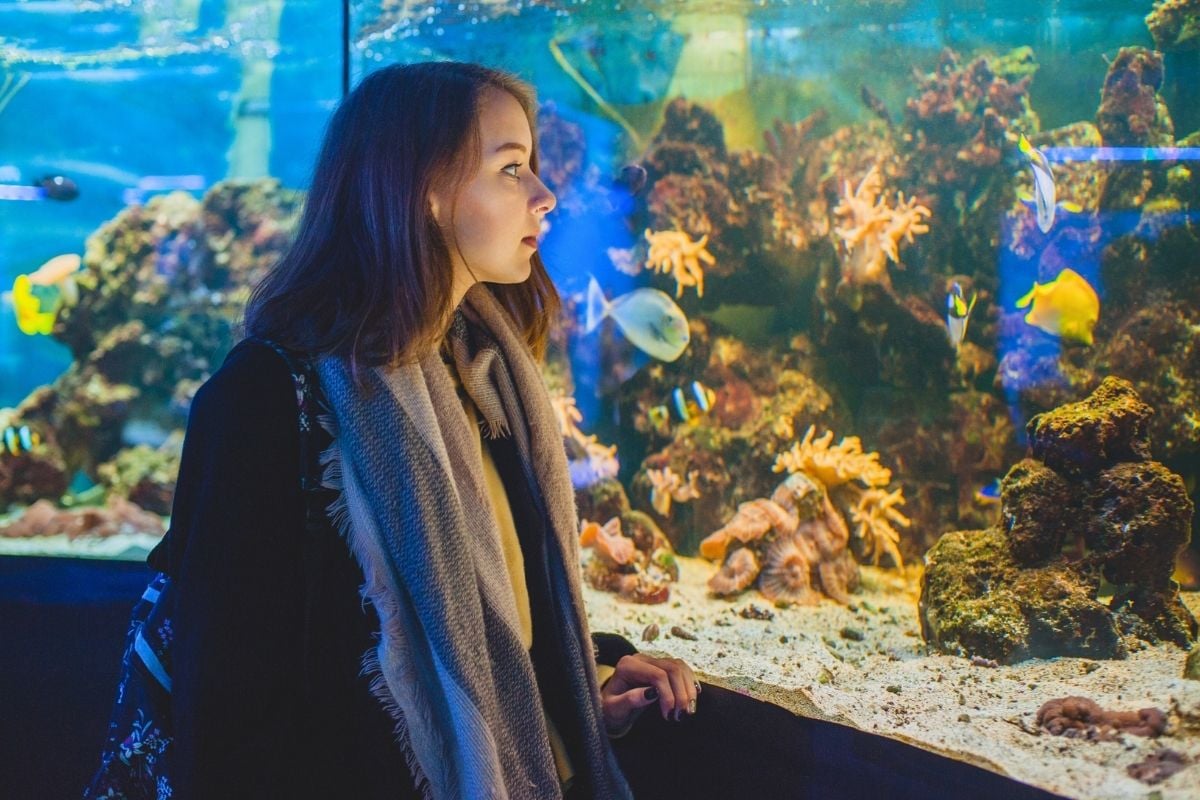 Sea Life Aquarium, London