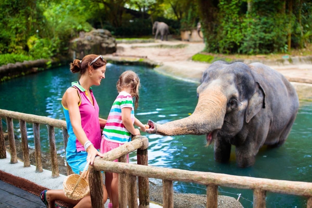 Singapore Zoo