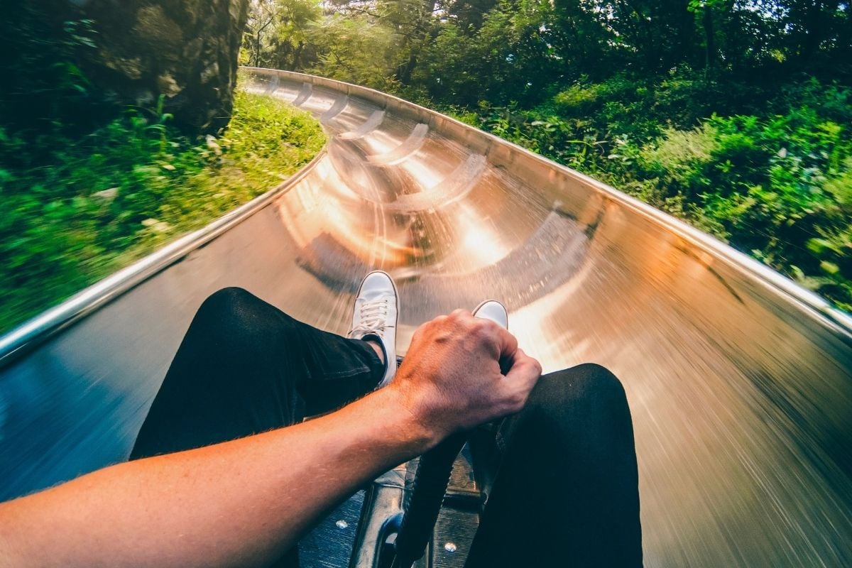 47 Fun Things to Do in Hunter Valley, Australia TourScanner