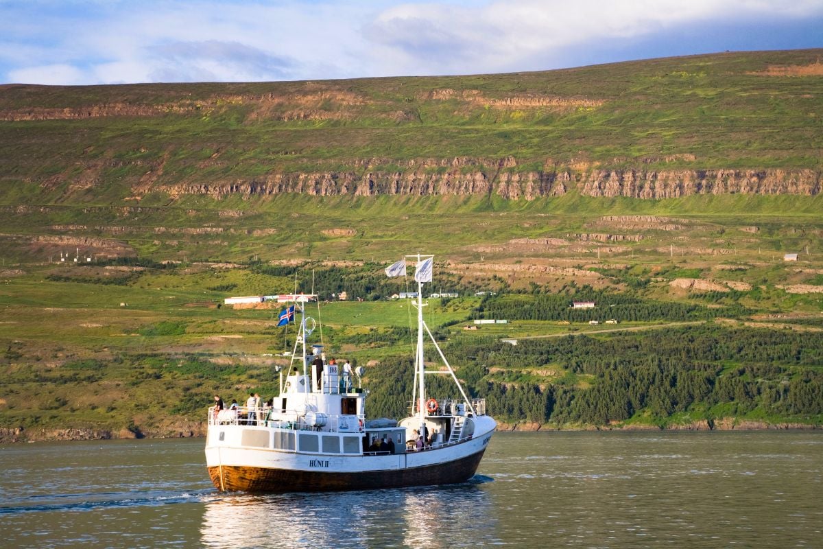 boat tour in Akureyri