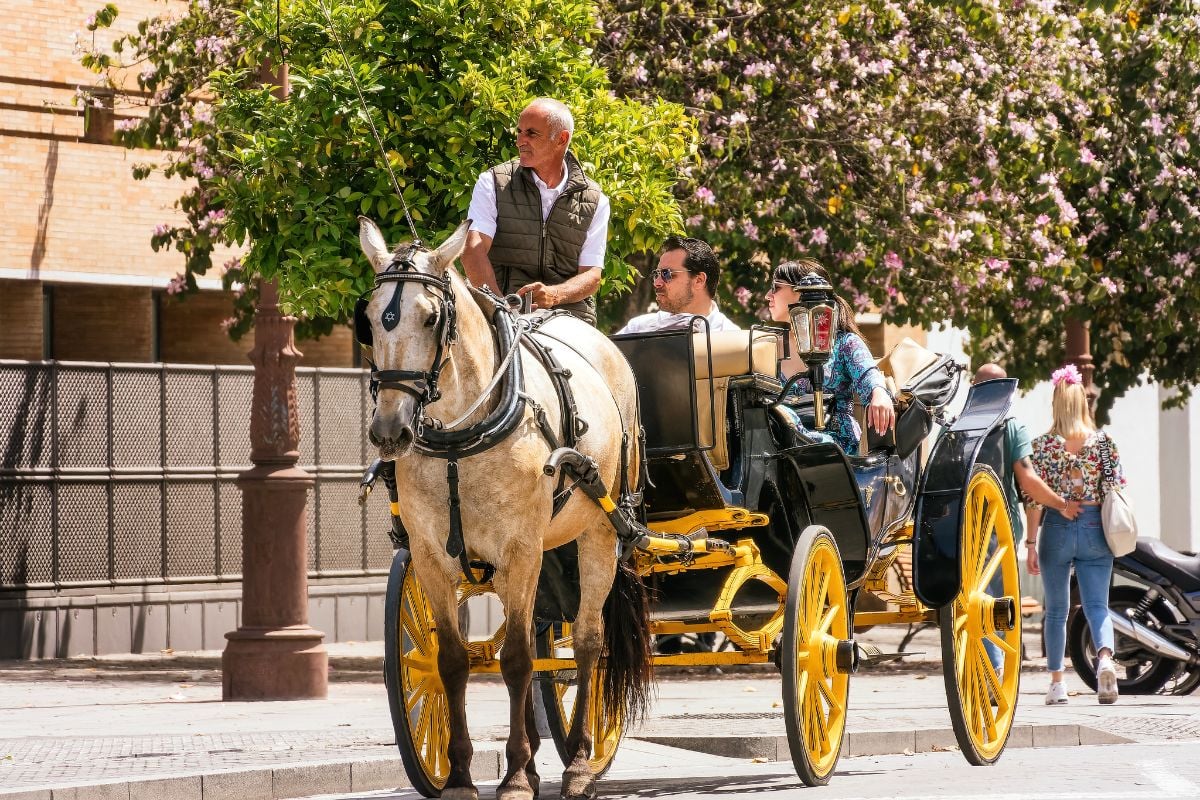 horse & carriage ride in Paris