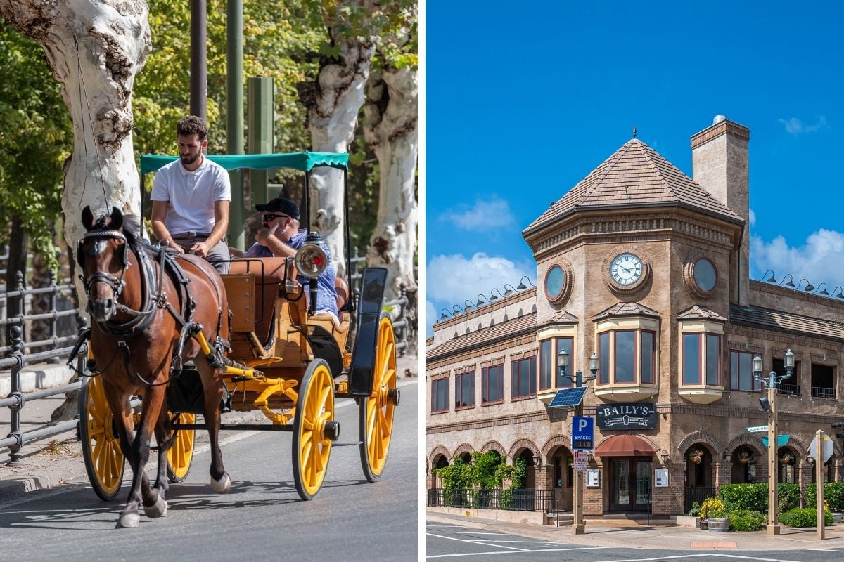 horse-drawn carriage tours in Temecula