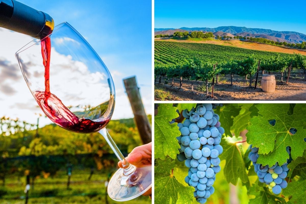 wine tours in Temecula