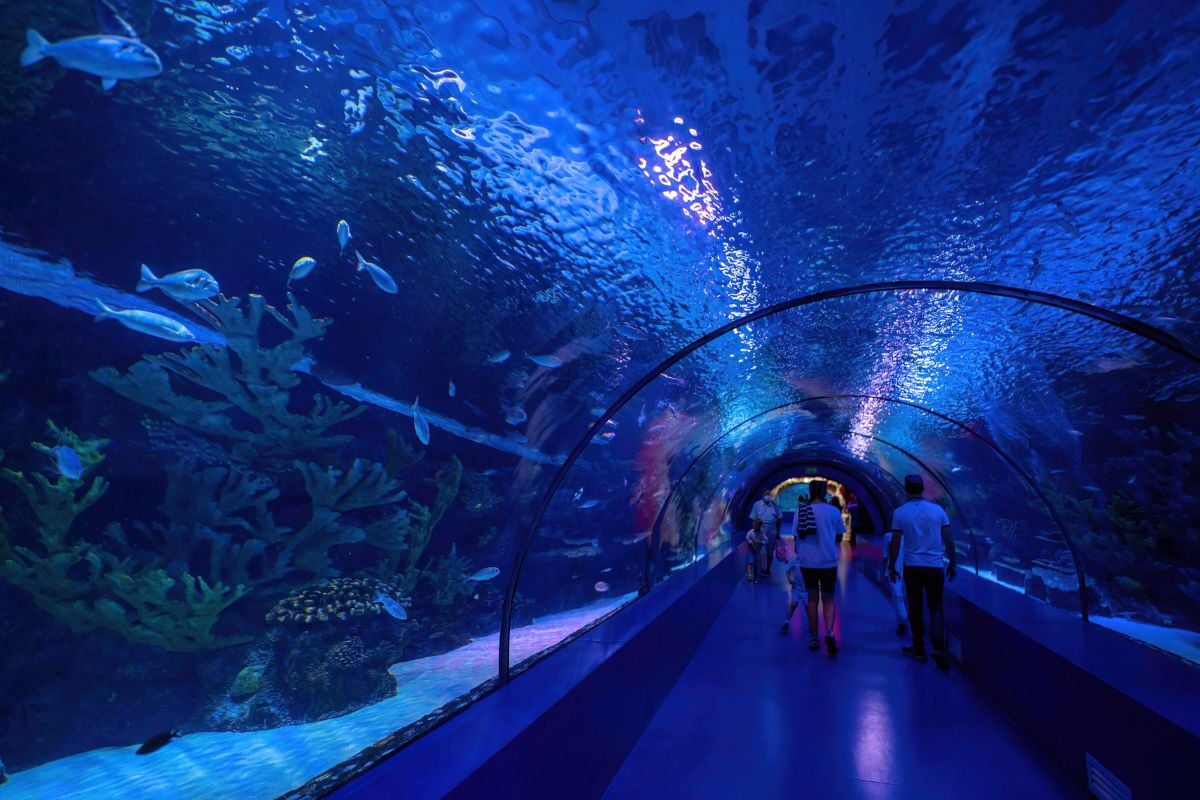 Antalya Aquarium, Antalya