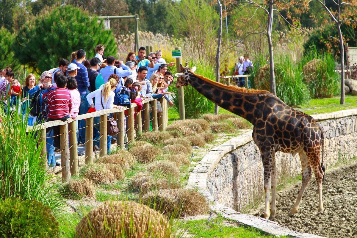 Antalya Zoo