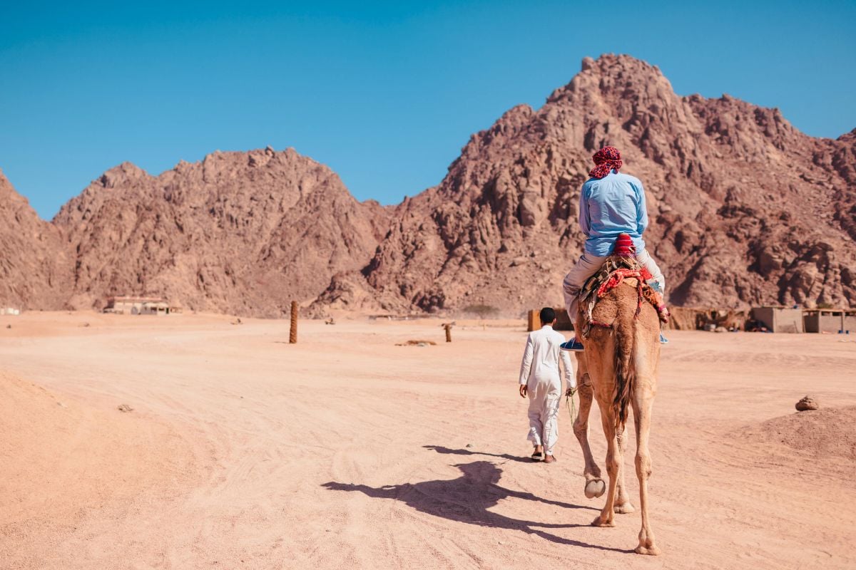 camel riding in Sharm El Sheikh