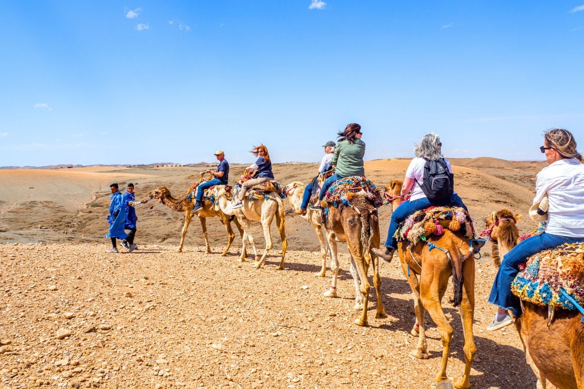 camel riding tours from Aswan