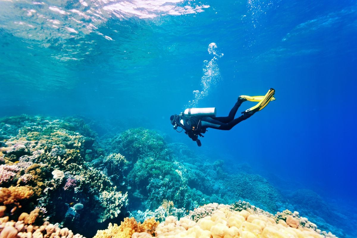 scuba diving in St. Maarten