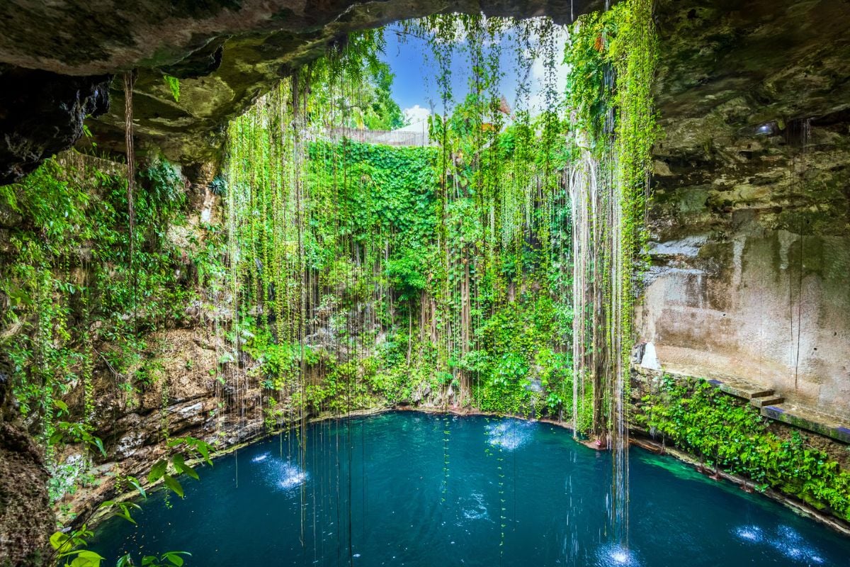 Cenote tours from Mérida