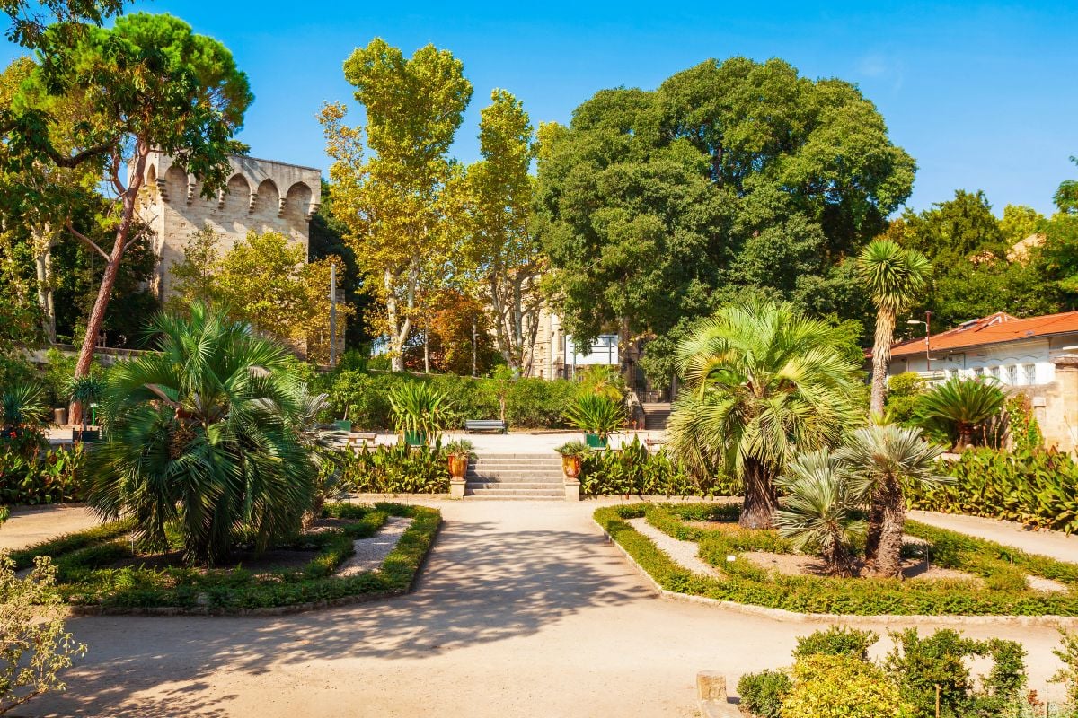 Jardin des plantes of Montpellier