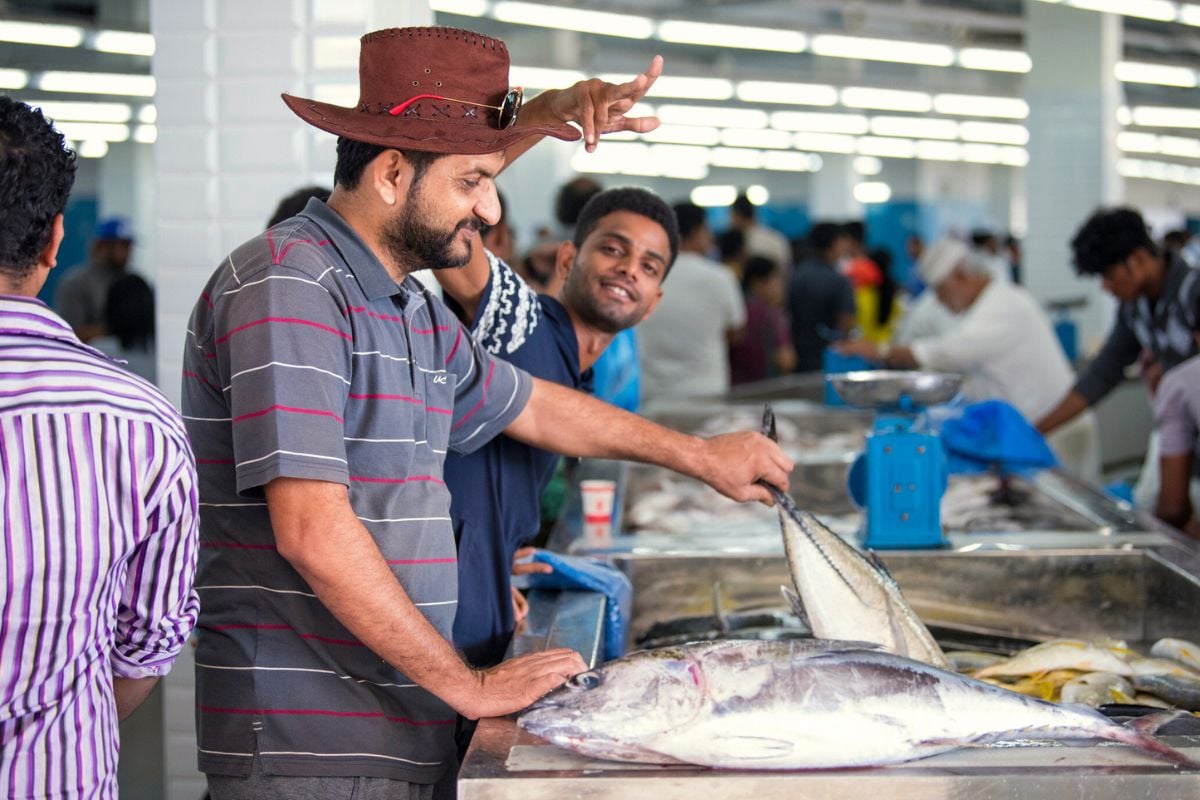 Muscat Fish Market, Oman