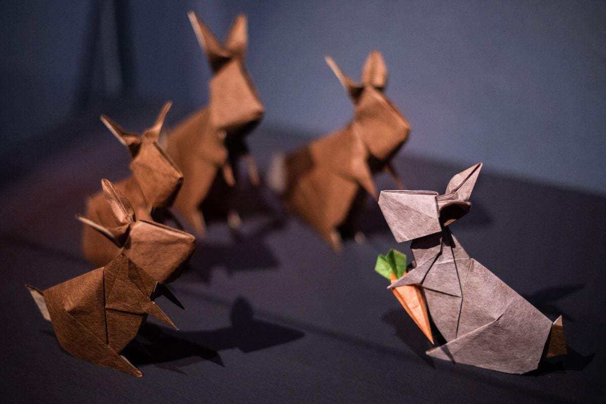 Origami Museum, Zaragoza