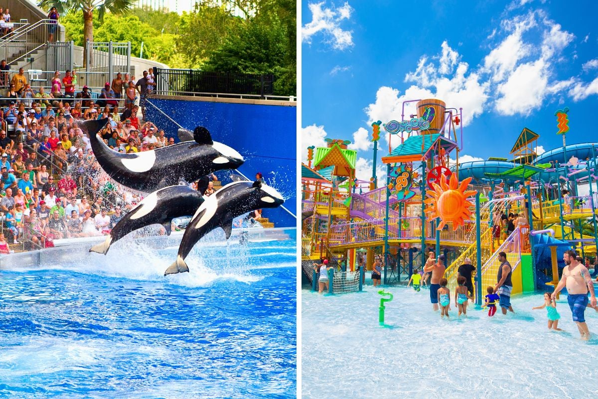 SeaWorld discounted tickets