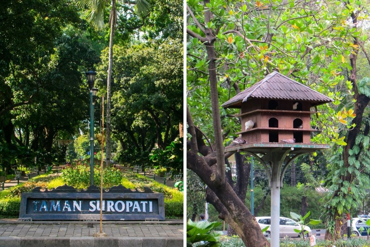 Taman Suropati, Jakarta