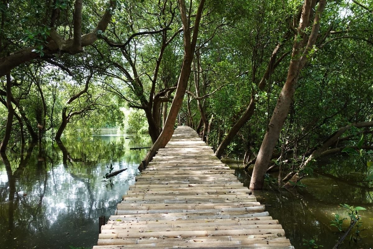 Taman Wisata Alam Mangrove Angke Kapuk Jakarta