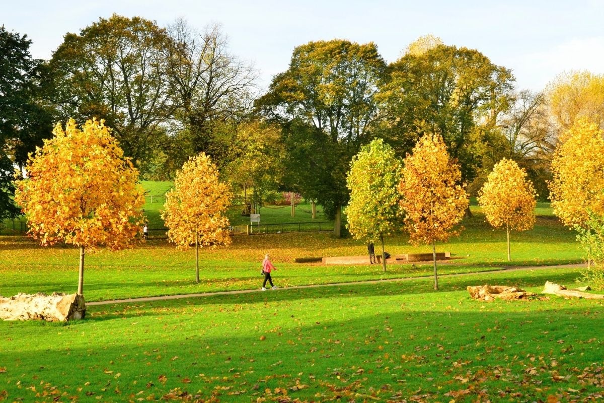 Victoria Park, Bristol