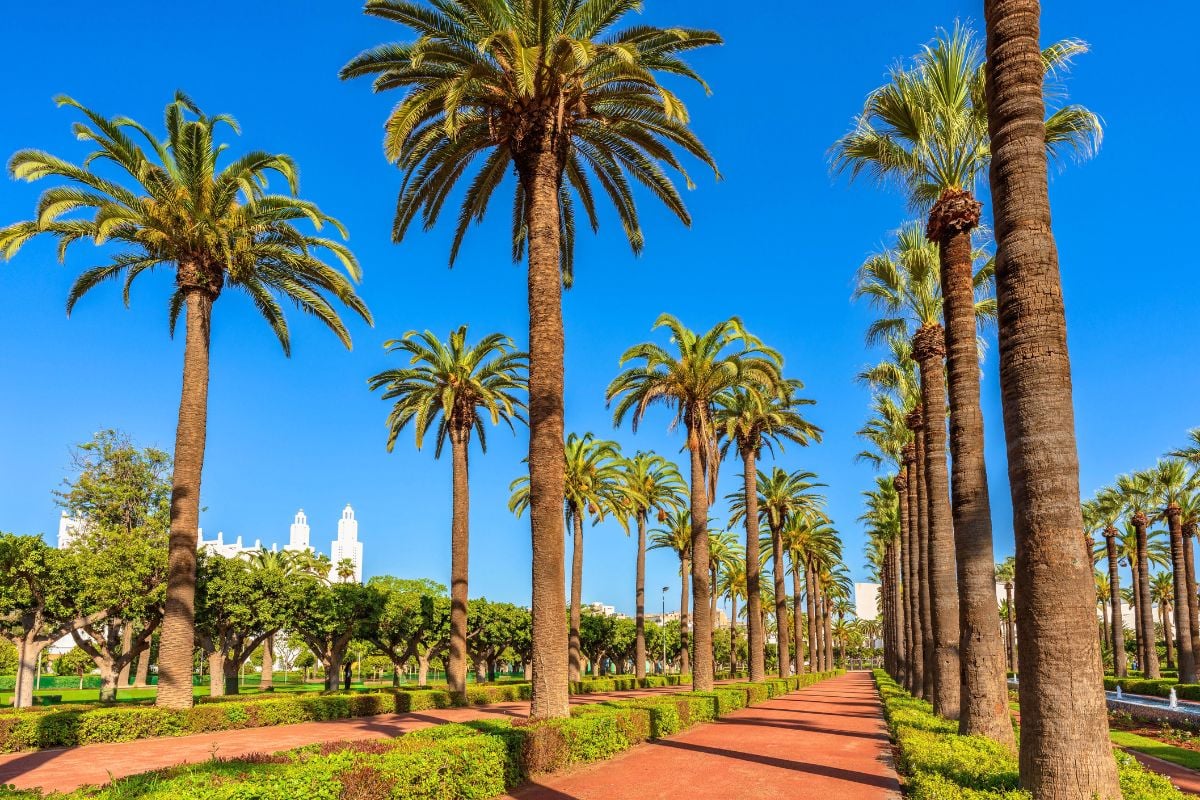 best parks in Casablanca