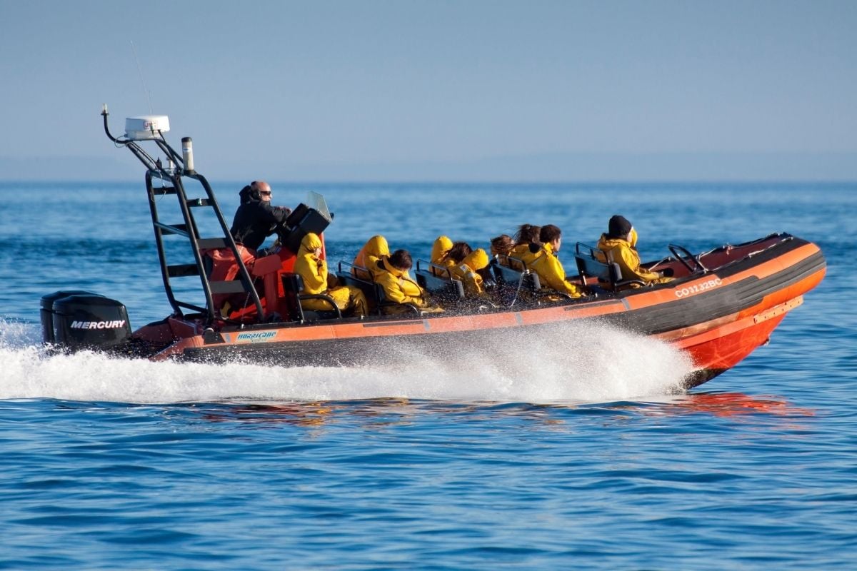 boat tours in Victoria, BC