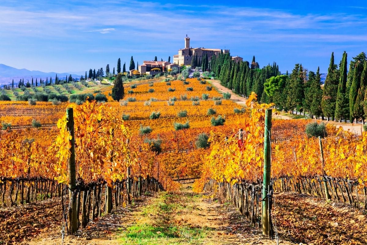 Montalcino, le migliori cose da vedere e da fare in Toscana