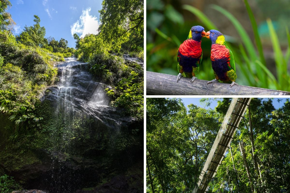 Parc Naturel Régional de la Martinique, Martinique