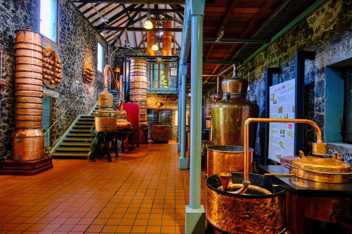 distillery tours in Martinique