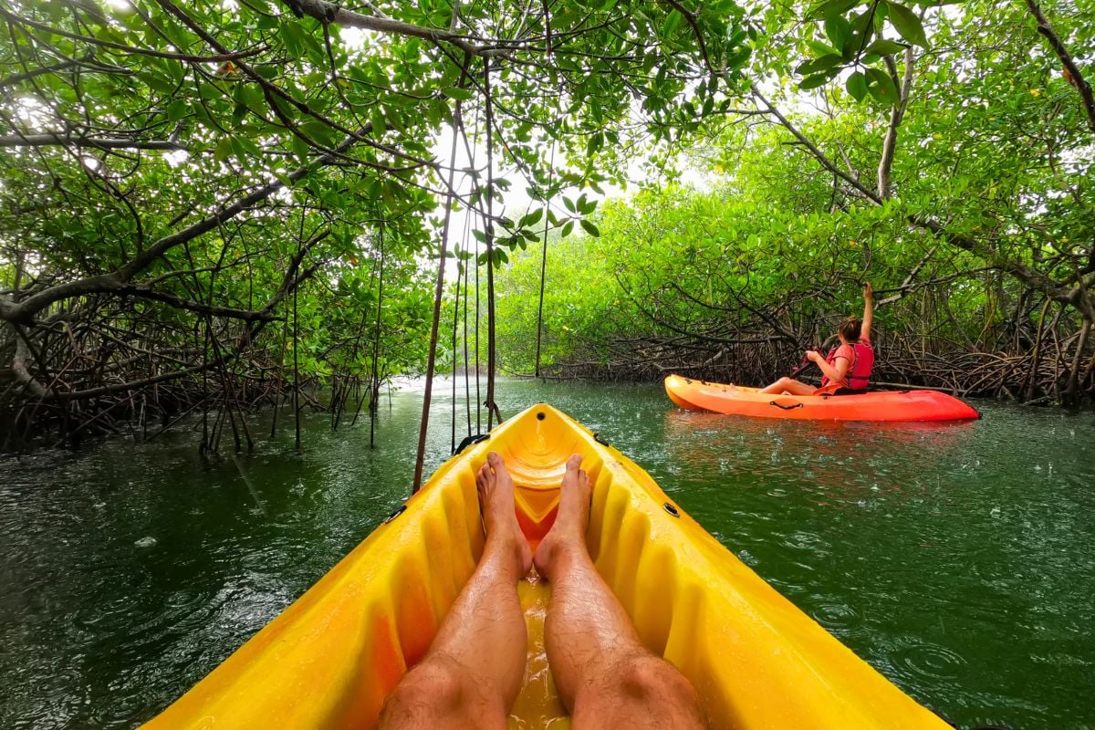 kayaking tours in Martinique
