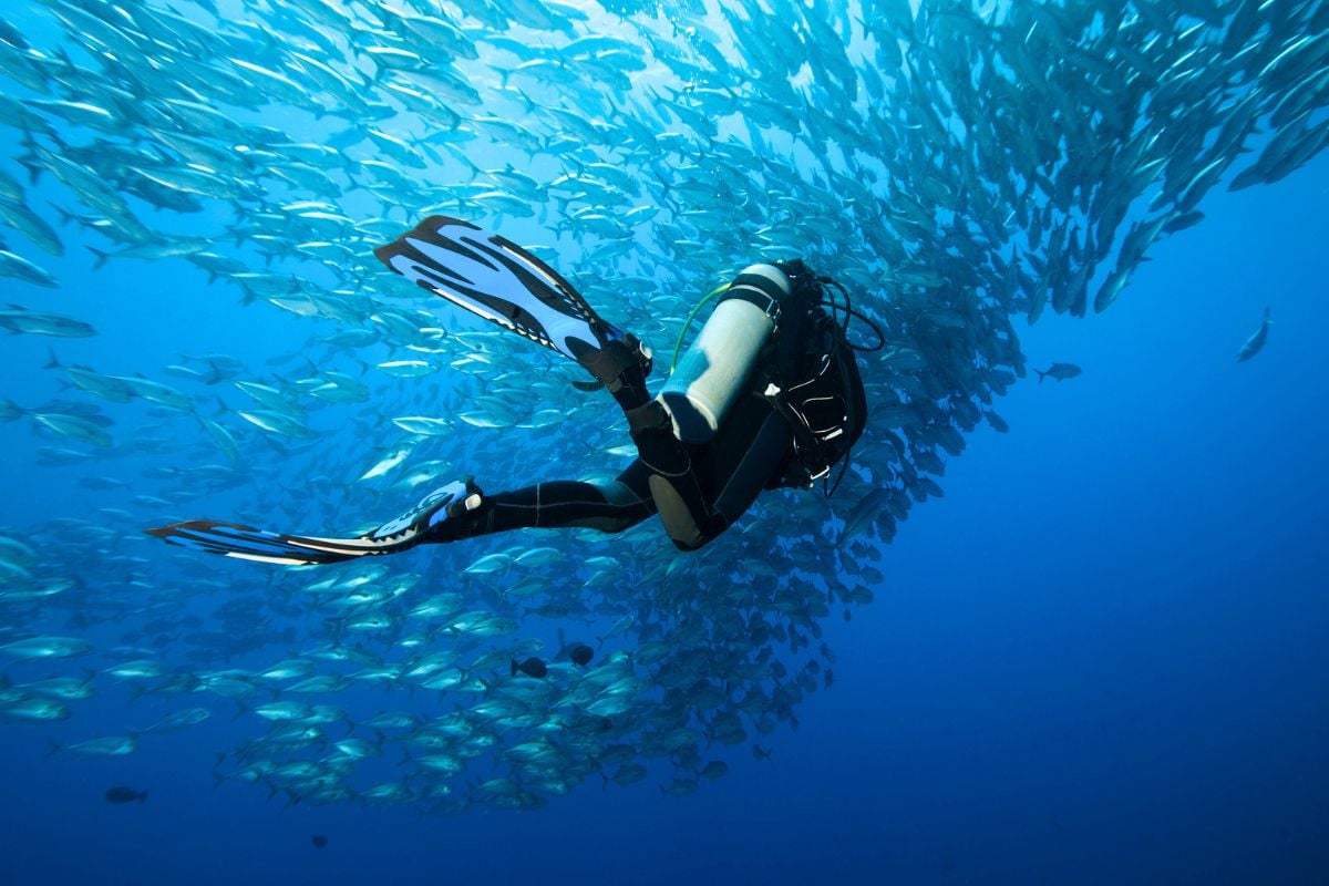 scuba diving tours in Martinique