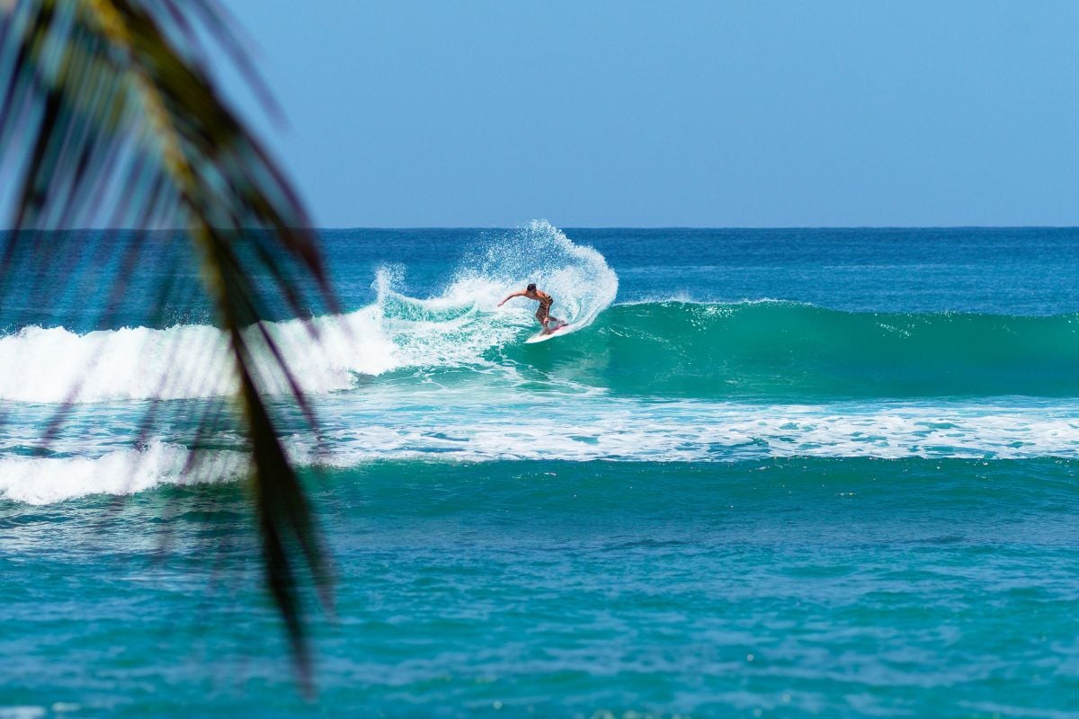surf lessons in Martinique