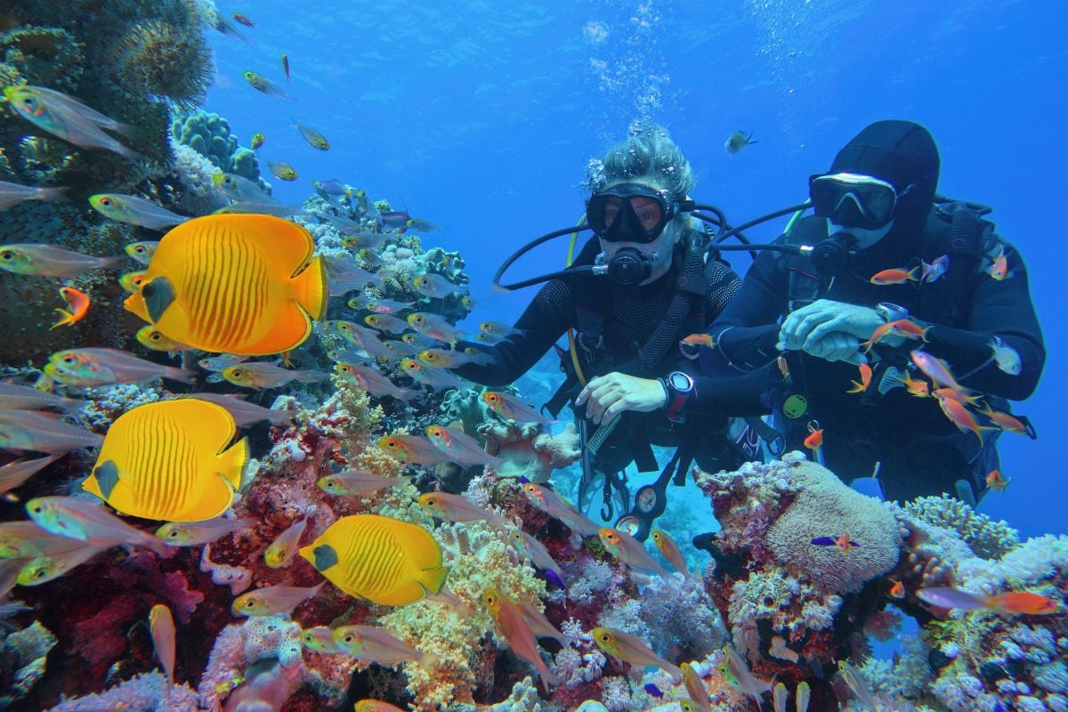 scuba diving tours in Cebu