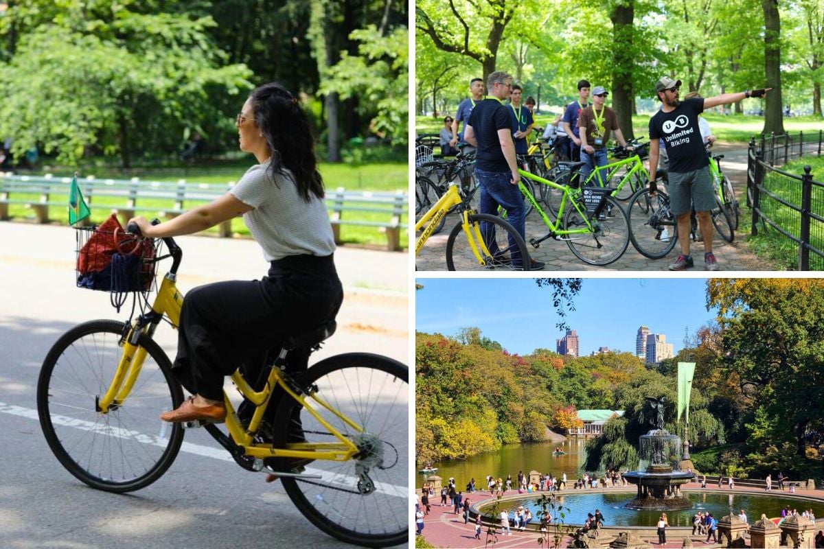 Highlights of Central Park Bike Tour