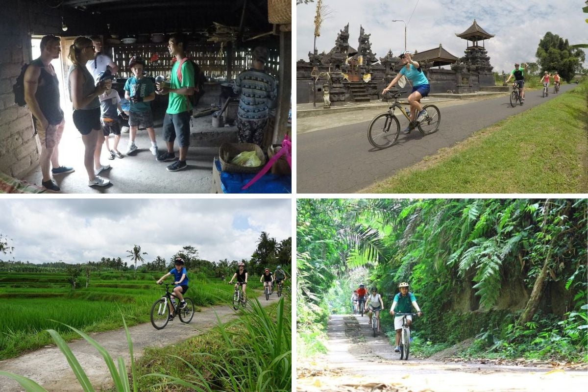 full-day Kintamani cultural and nature cycling tour