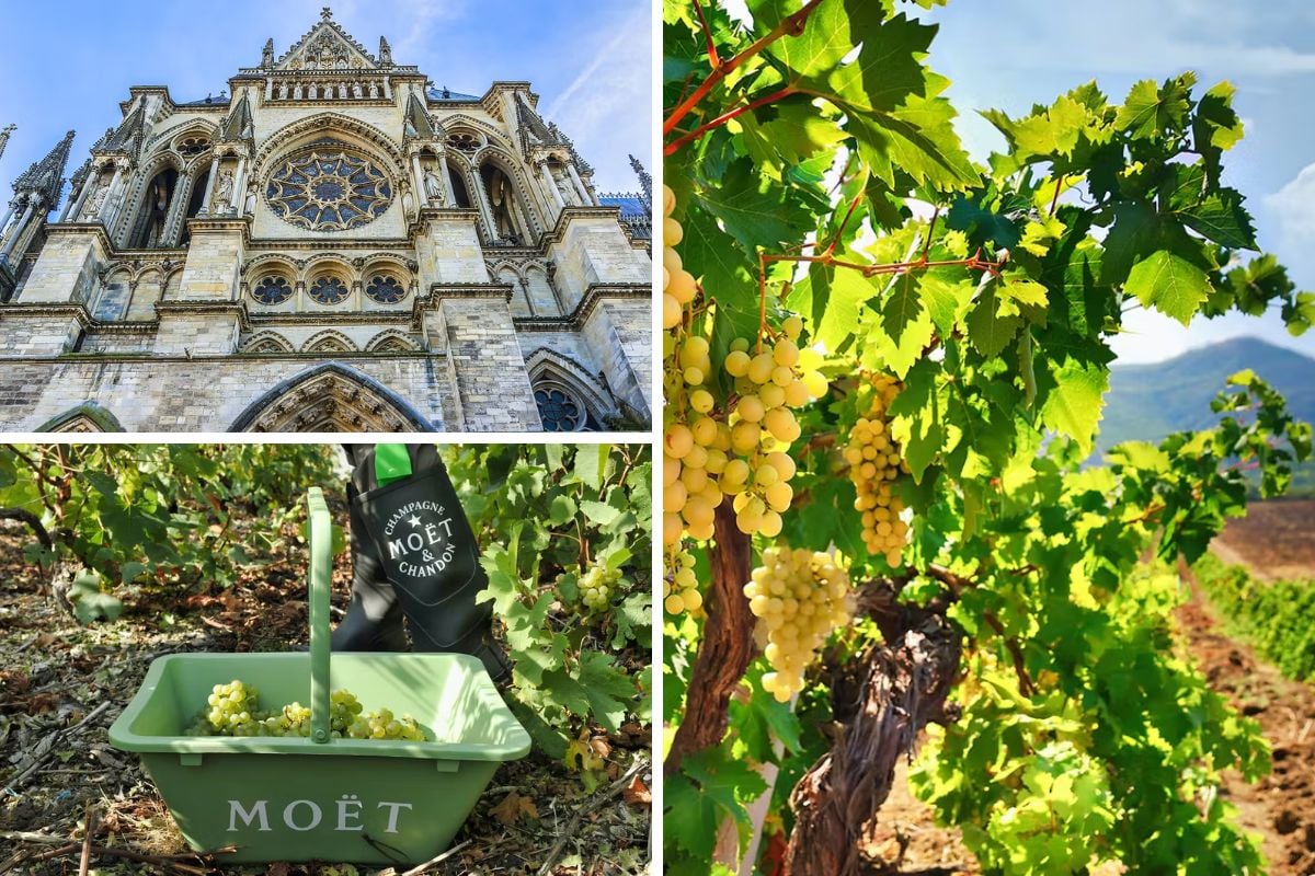 Day Trip to Champagne Region from Paris including Moët Chandon, Hautvillers and a Family Winery