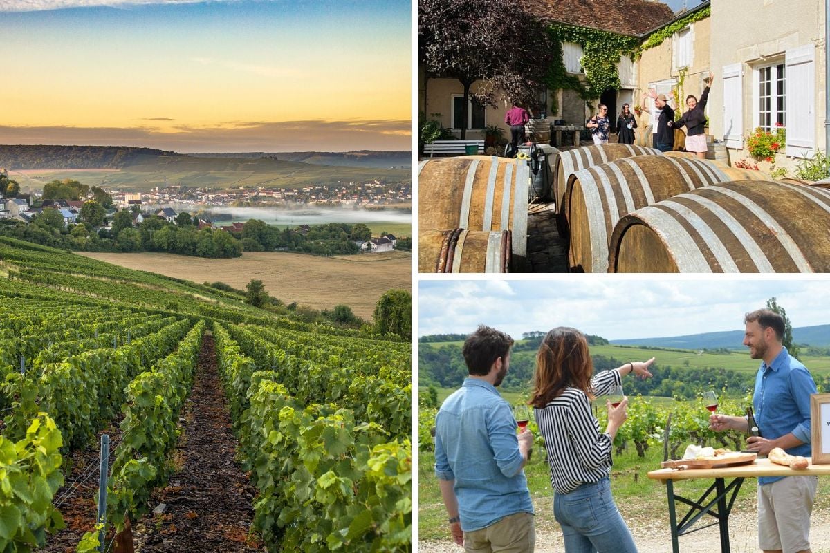 Full-Day North Burgundy and Chablis Wine Tasting Tour from Paris