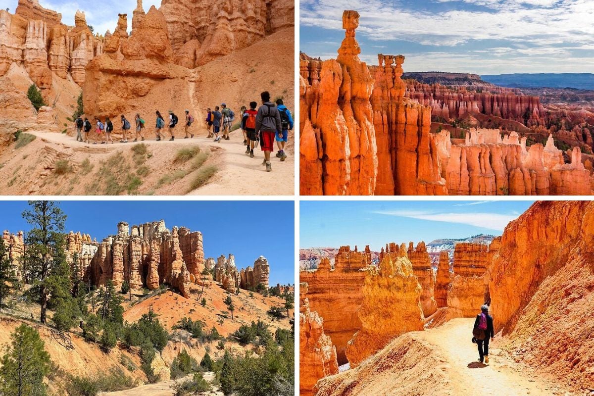 Full day Bryce Canyon small group tours