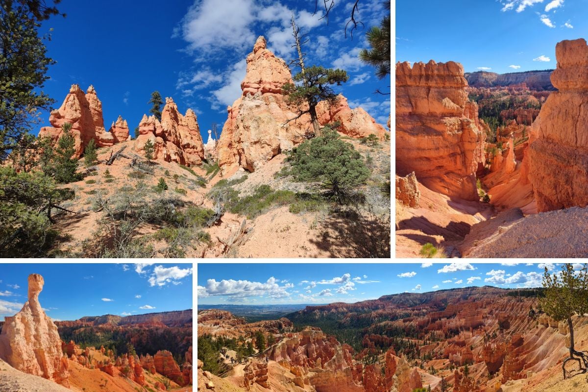 How much does a Bryce Canyon tour from Las Vegas cost