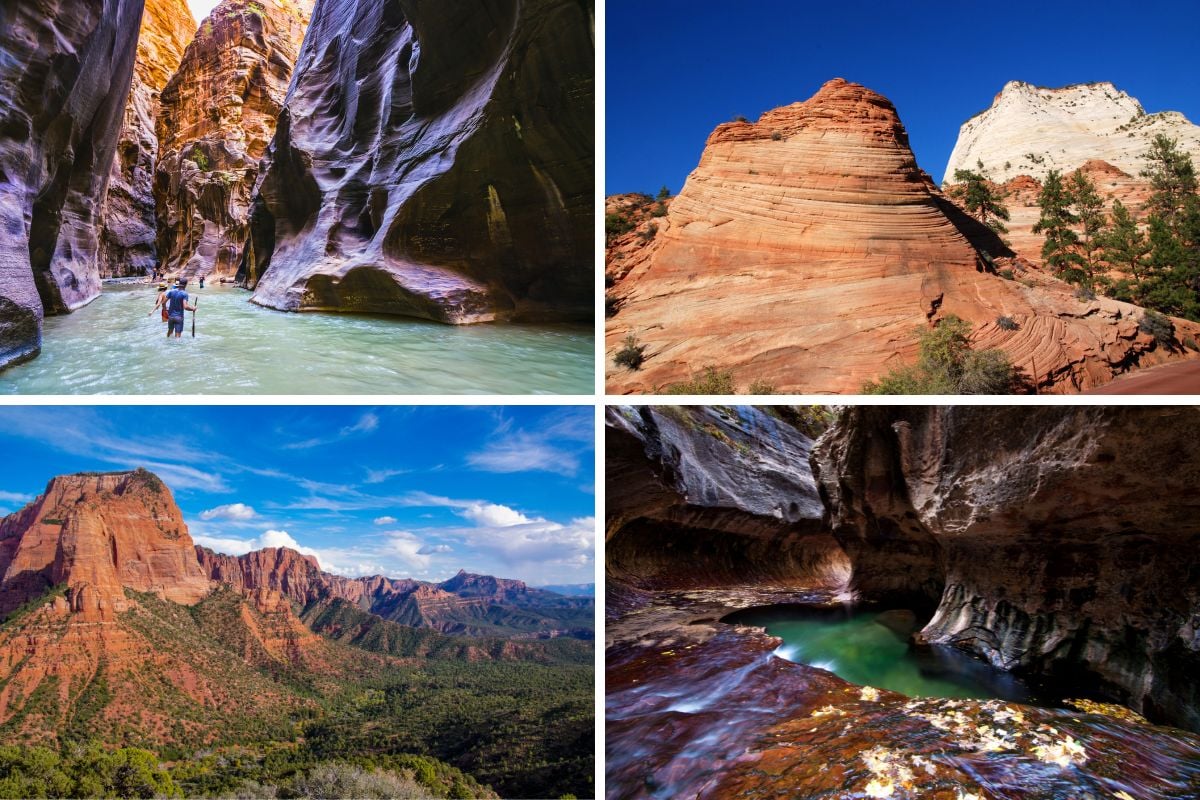 What will you see in Zion National Park