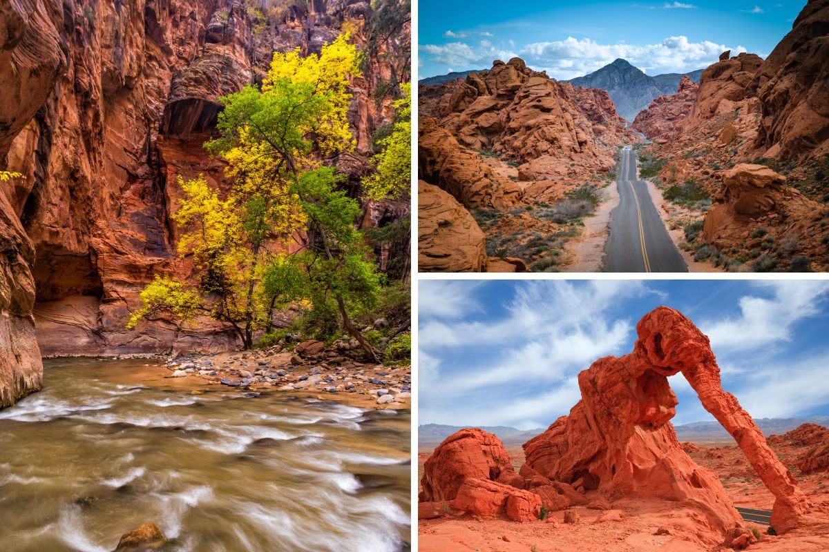 Zion National Park & Valley of Fire tour from Las Vegas