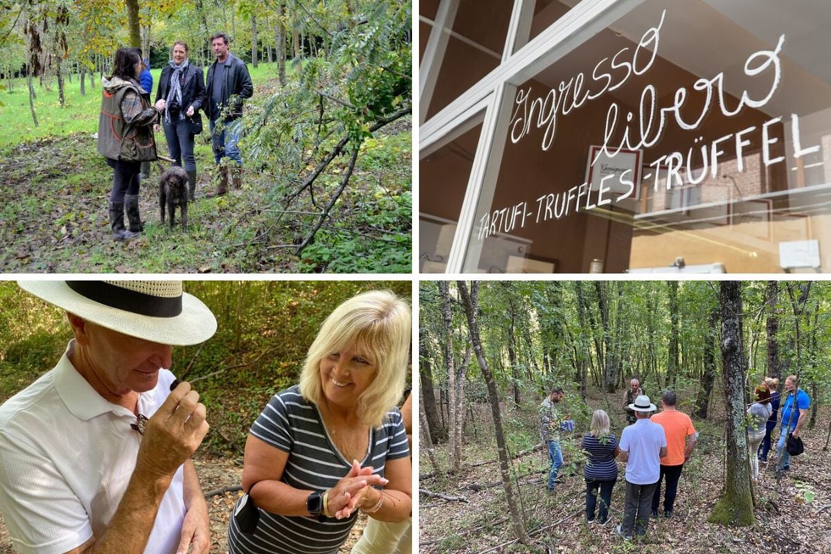 Best Truffle Hunting Tours from Florence All You Need to Know For a Gastronomic Treasure Hunt