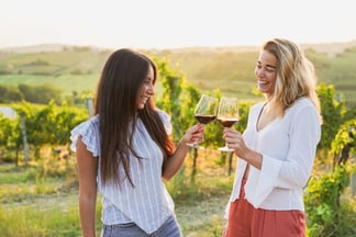 best wine tasting tours in Rome
