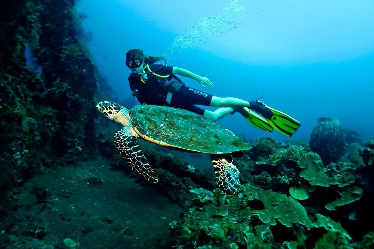 scuba diving in Tulamben, Bali