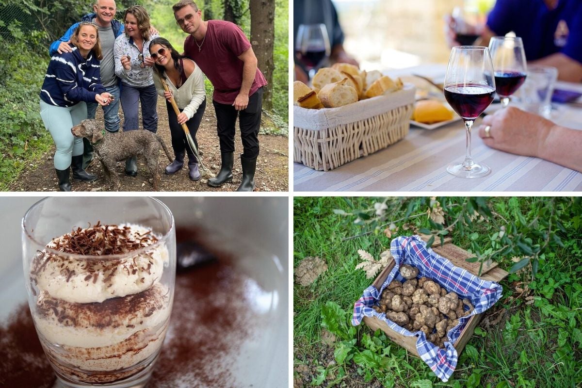 Best Truffle Hunting Tours from Florence All You Need to Know For a Gastronomic Treasure Hunt